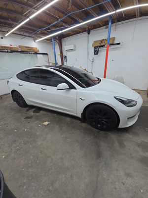 Window Tinting Service For Tesla Model 3 Vehicle in Pensacola FL